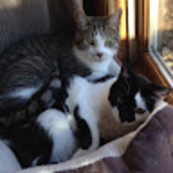 Meet your Posher, Debbie - Picture 1 of 1